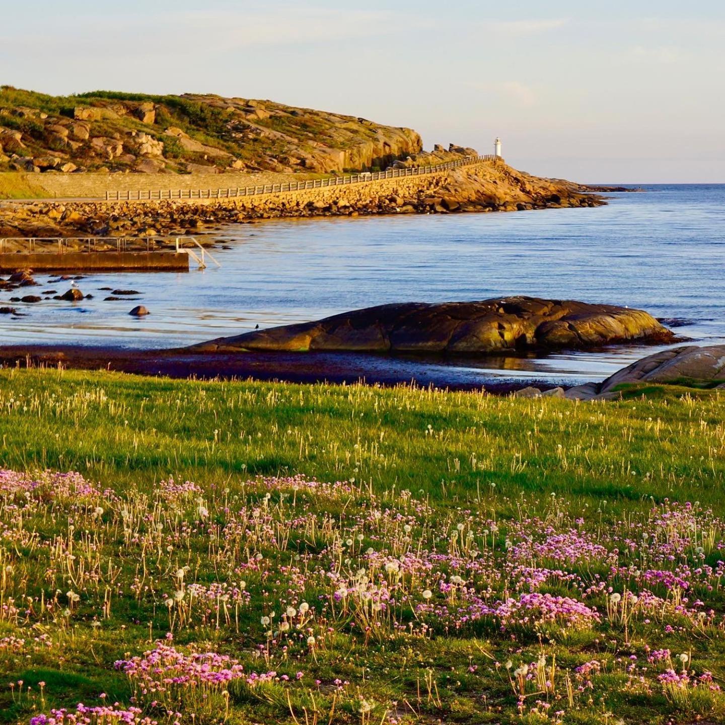 Faestningens Bed & Breakfast Varberg Exterior foto